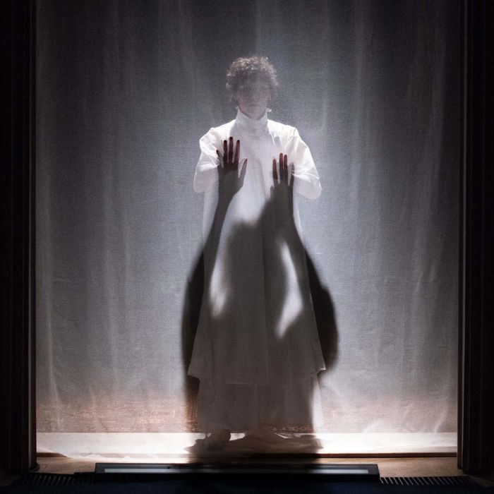 Hinter einem semitransparenten Vorhang steht eine Figur mit einem weißen Kleid und Locken, der Schatten auf dem Vorhang greift nach ihr.